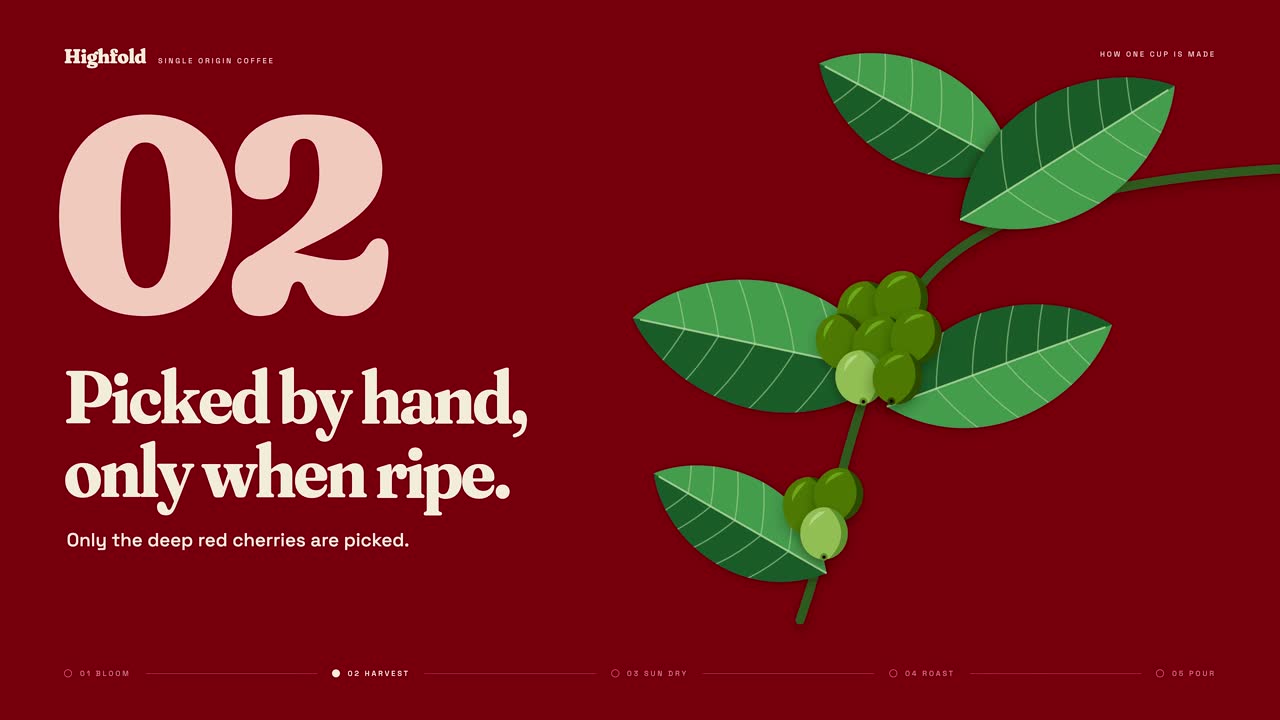 Picked by hand, only when ripe